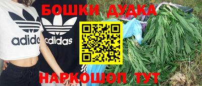 индика Апшеронск